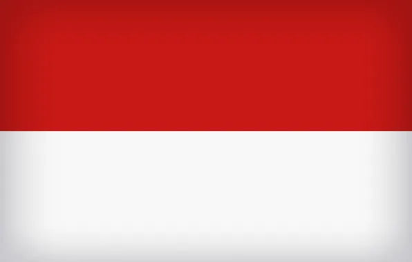 Drapeau indonésien 100 % polyester 91 x 152 cm