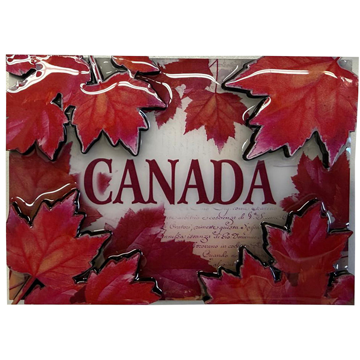 Canada GLOSSY 3D MAGNET