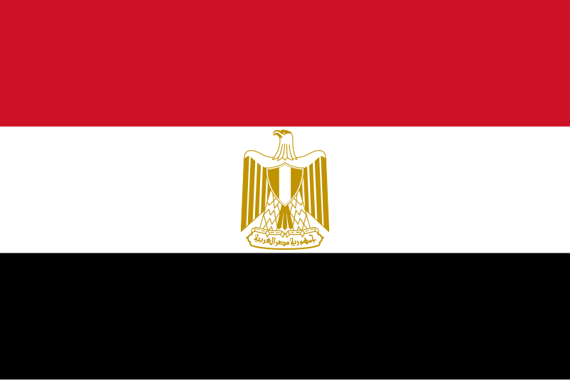 Egypt 100% Polyester Flag 36"X60"