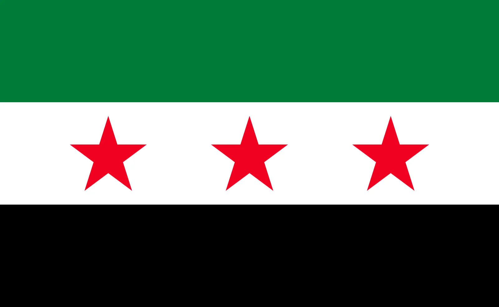 Syria 100% Polyester Flag 36"X60"